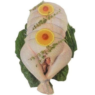 TURDUCKEN - FREE RANGE